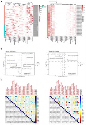 Is Immune Suppression Involved in the Ischemic Stroke? A Study Based on Computational Biology